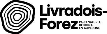 logo-noir